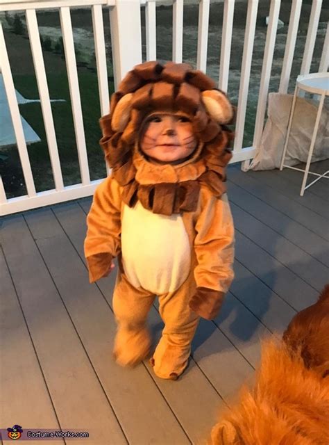 Baby Lion Costume | Affordable Halloween Costumes