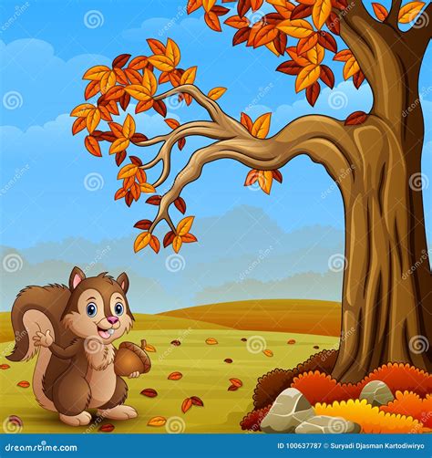 Cartoon Squirrel in the Autumn Forest Stock Vector - Illustration of ...