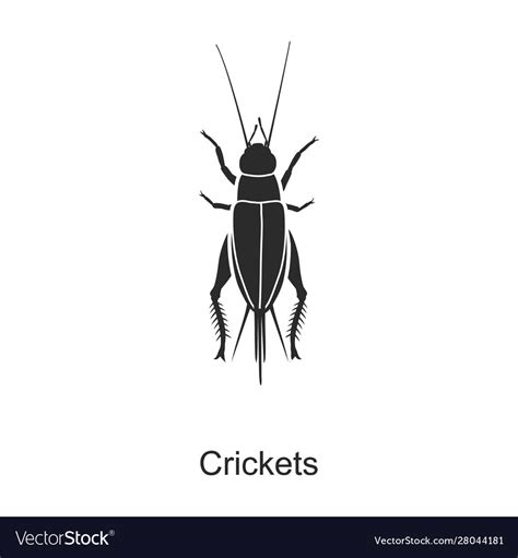 Insect cricket iconblack icon Royalty Free Vector Image