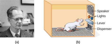 Operant Conditioning | Introductory Psychology