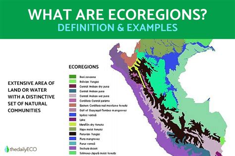 What Is an Ecoregion? - Definition With Examples and Photos