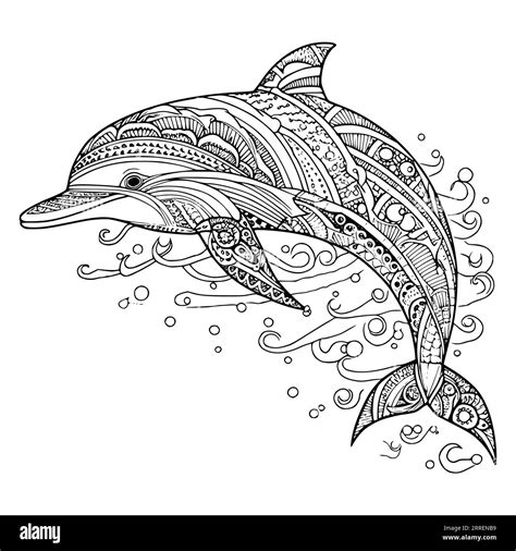 Realistic Dolphin Coloring Pages