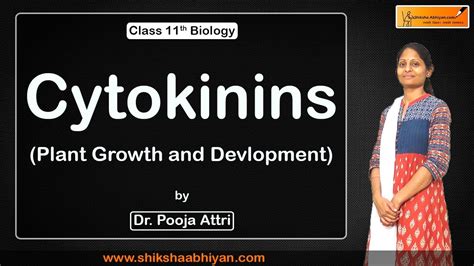 Plant Growth & Development ( Cytokinins ) - #CBSE Class 11 Biology - YouTube