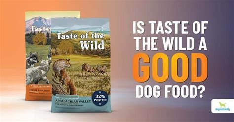 Taste Of The Wild Dog Food Reviews - Dogs Naturally