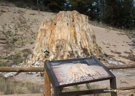 Florissant Fossil Beds National Monument! - The Bill Beaver Project