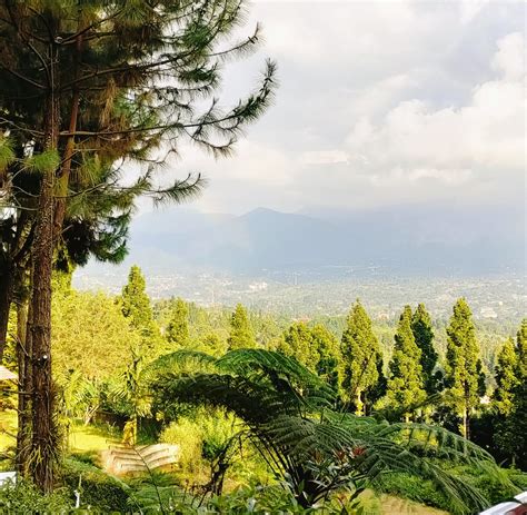 5 Villa di Puncak Bogor Dengan Pemandangan Alam