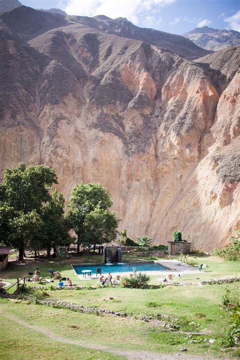 What's your mule? Trekking Colca Canyon in Peru. • Choosing Figs