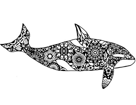 Creative Photo of Shamu Coloring Pages - vicoms.info