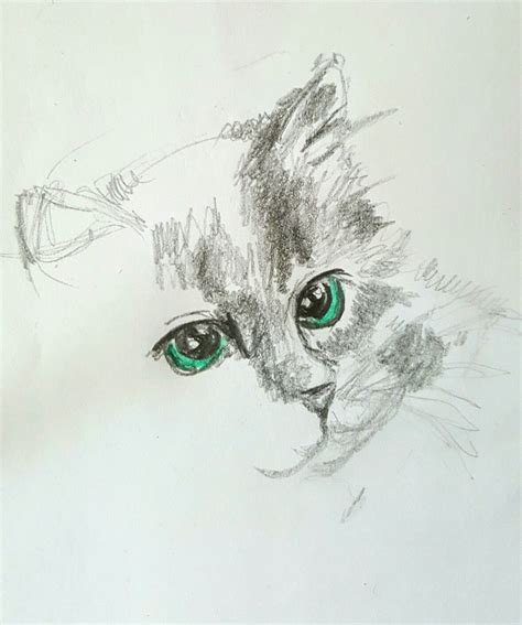 #drawing #cat Owl, Bird, Cats, Drawings, Animals, Gatos, Animales, Animaux, Owls