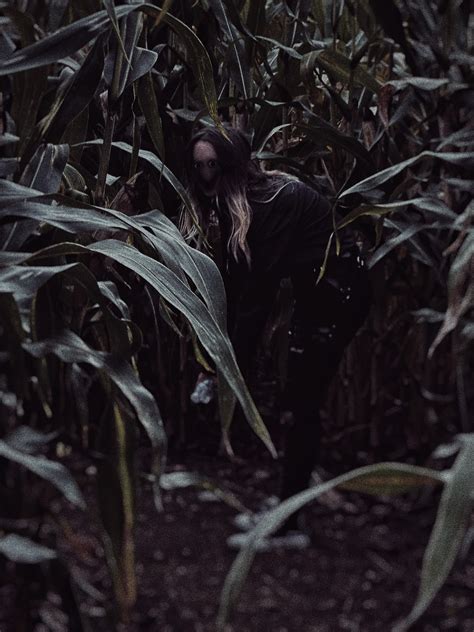 Corn maze : r/creepy