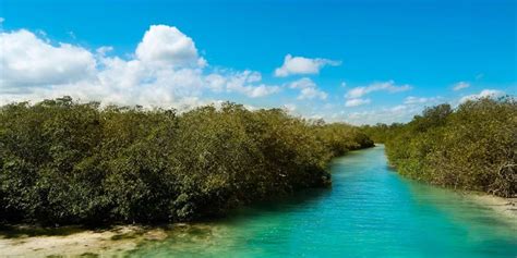 Riviera Maya: Muyil and Sian Kaʼan Private Sunset Tour | GetYourGuide