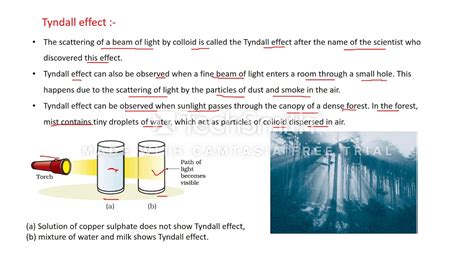 Properties Of Colloids Tyndall Effect