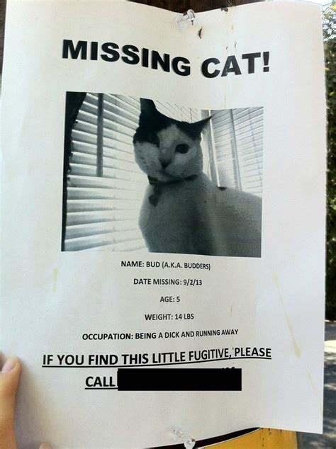 10 Hilarious Posters For Missing Cats