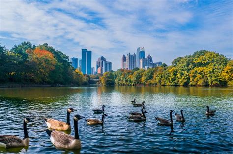 12 Best Atlanta Suburbs in 2024 - PODS Blog