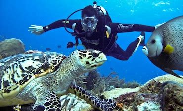 Diving in El Nido, Palawan - Scuba Diving, Courses and Schools