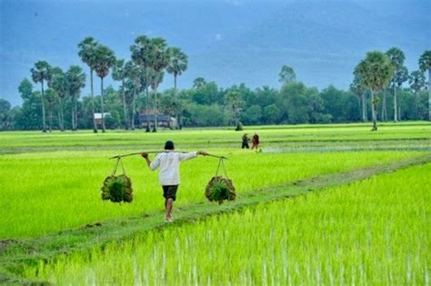 Investing in Cambodia’s Adolescent Girls - The Cambodia Daily