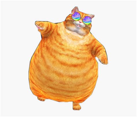 Transparent Tabby Cat Png - Orange Tabby Cat Fat, Png Download ...