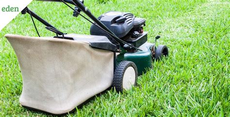 7 Best Mulching Lawn Mowers for your Yard | Eden Lawn Care and Snow Removal