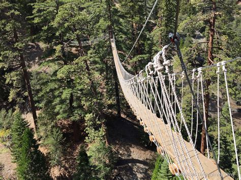 Big Pines Zipline: Soaring Over Wrightwood at 50 MPH - California Through My Lens