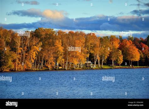 Trout Lake, Michigan, USA. Fall and the late afternoon sun descend on a stretch of shoreline ...