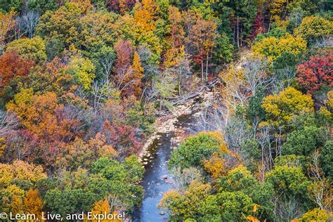 Virginia Fall Foliage ~ Learn, Live, and Explore!