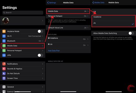 How to set up Dual SIM on iPhone?