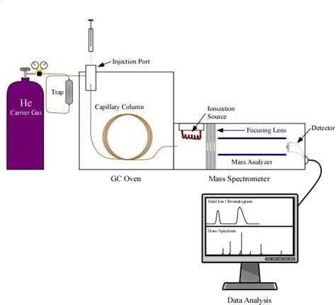 Gas Chromatography Mass Spectrometry Diagram Gas Chromatogra