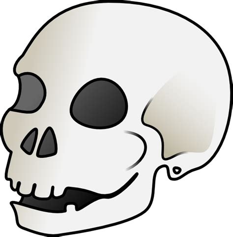 Human Skull clip art Free vector in Open office drawing svg ( .svg ) vector illustration graphic ...