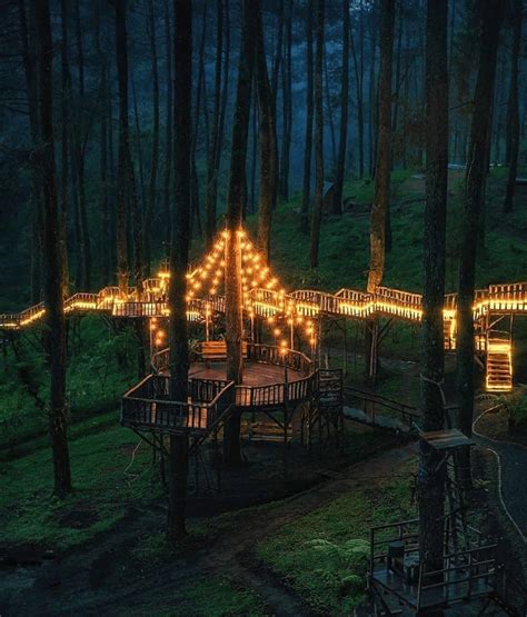 Magical Bridge of Light in an Indonesian Forest – The Frontier Post