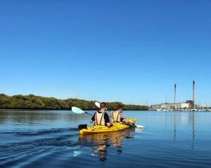 Dolphin Sanctuary Guided Eco Tour, 3 Hours - Adelaide - Adrenaline