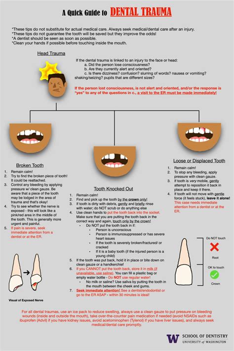 A quick guide to dental trauma - ASDA Blog