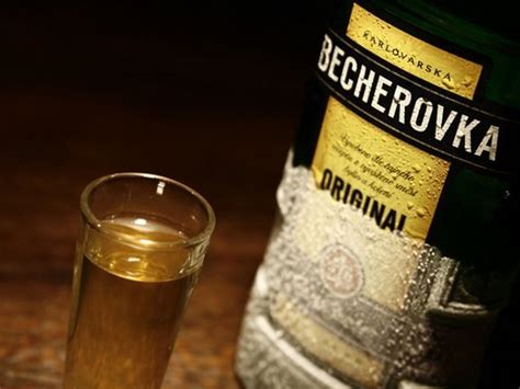 Koktajle z Becherovka - 12 prostych receptur dla domu - Artykuły 2024