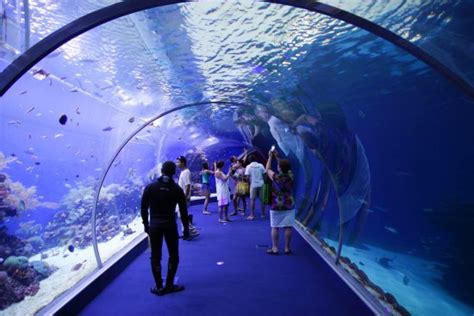 THE 10 CLOSEST Hotels to Underwater Observatory Marine Park, Eilat