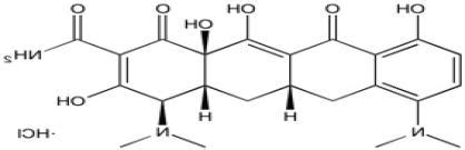 Minocycline side effects rash, minocycline and joint pain – Overnight delivery | SPINNINGREELCENTER