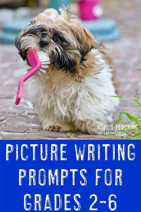 a dog with a toothbrush in its mouth and the words picture writing prompts for grade 2 - 6