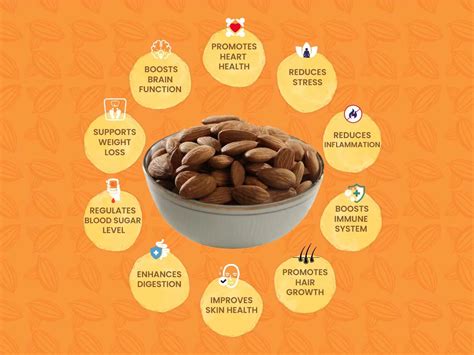 Top 10 health benefits of almonds - Occasions Dry Fruit