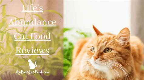 Lifes Abundance Cat Food Reviews 2021 - MyBestCatFood