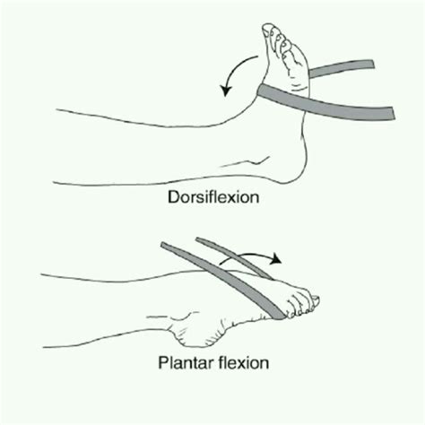 Plantar Flexion Exercises