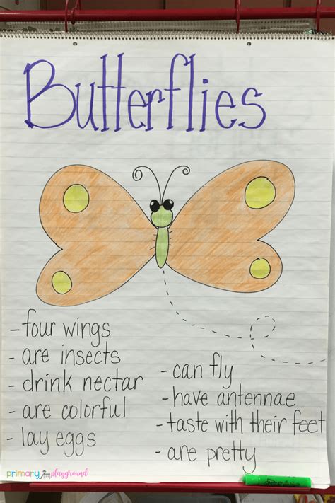 Teaching About Butterflies In The Classroom - Primary Playground | Butterfly lesson plans ...