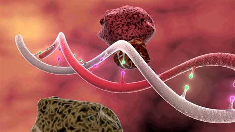 DNA Mutation 3D Animation | Dna replication, Dna, Dna activities