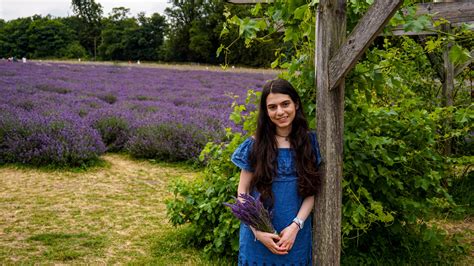 Mayfield Lavender Farm - Empnefsys & Travel