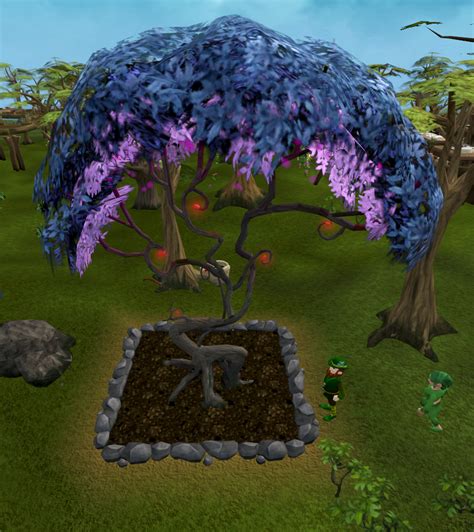 Magic tree (Farming) - The RuneScape Wiki