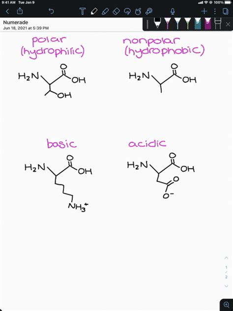 SOLVED:What properties of the side chains (R groups) of amino acids are ...