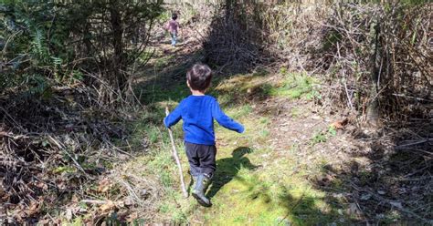 Essential Toddler Hiking Gear You Won't Want to Forget! - Go Places ...