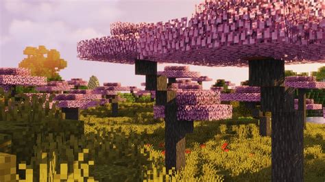 Cherry Blossom Trees Minecraft Texture Pack