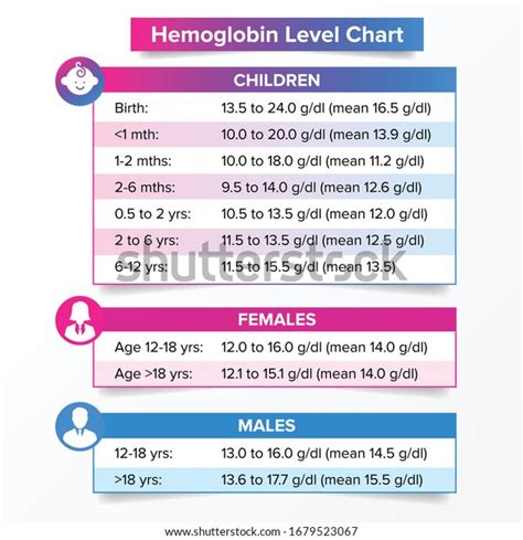 Hemoglobin Level Chart Illustration Vector Chart Stock Vector (Royalty ...