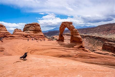 How to Enjoy Utah’s Delicate Arch Hike (+ Other Ways to Visit!)