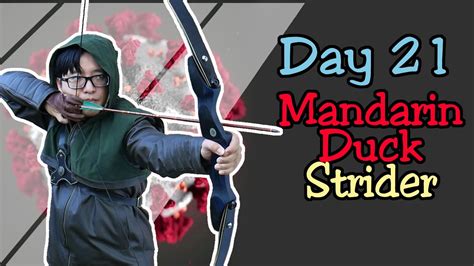 Quarantine Archery Day 21: Mandarin Duck Strider - YouTube