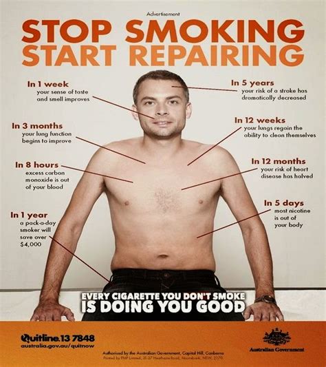 Hours After Quitting Smoking What Happens To Your Body Wise Diaries 19095 | The Best Porn Website