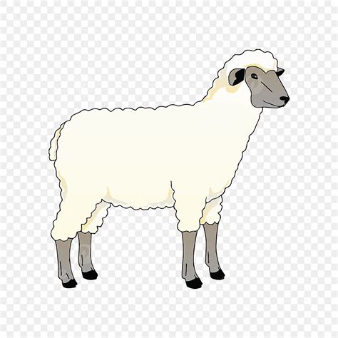 Cartoon Sheep Vector Design Images, Sheep Cartoon, Sheep Clipart, Sheep Vector, Cartoon Vector ...